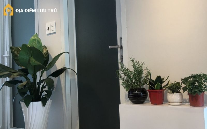 eco-homestay-can-gio-8