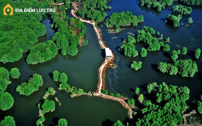 Cần Giờ – Rừng ngập mặn, biển và hải sản tươi roi rói
