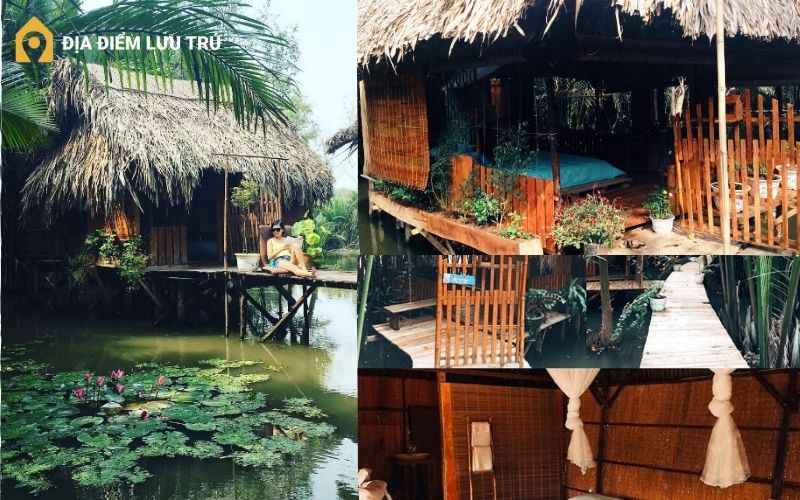 Tận hưởng không gian lý tưởng tại Homestay cánh đồng hoa Bình Chánh 