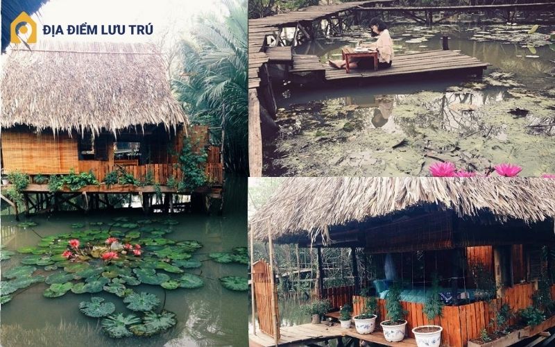Đánh giá ưu và nhược điểm homestay cánh đồng hoa Bình Chánh