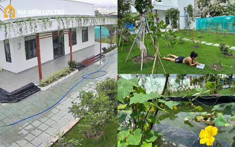 Không gian nhà vườn với nhiều cây ăn trái của A&H Homestay