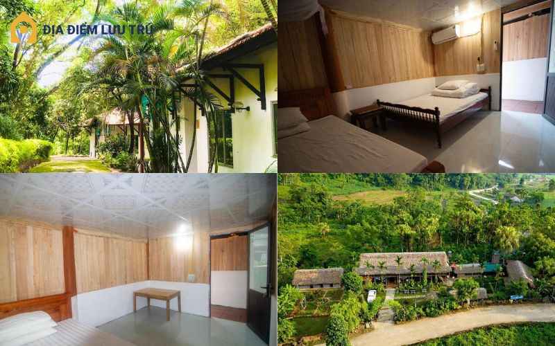 homestay-quan-11-3