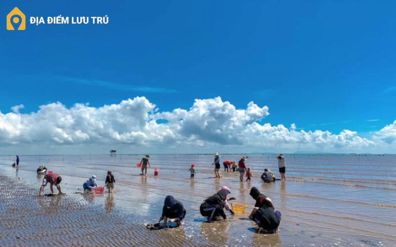 Những trải nghiệm hoạt động hấp dẫn, đa dạng tại biển Cần Giờ