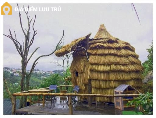 Cú Trên Cây Homestay